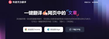 有道翻译PC版下载与系统兼容性指南，有道翻译exe